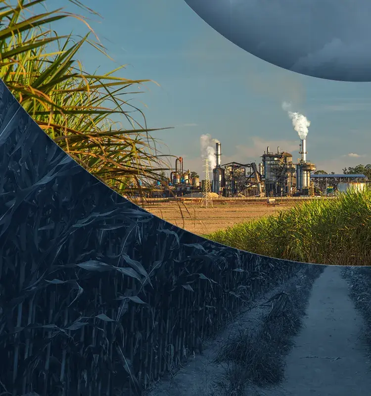 acucar-e-alcool-aspect-ratio-2732-800