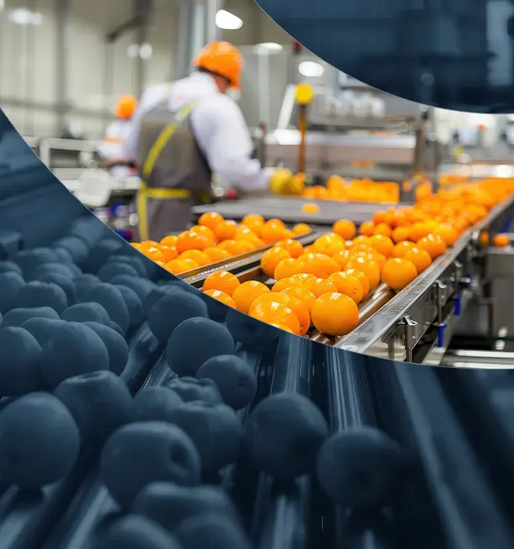 citricos-aspect-ratio-2732-800